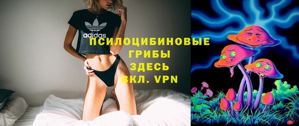 прущие грибы Алзамай